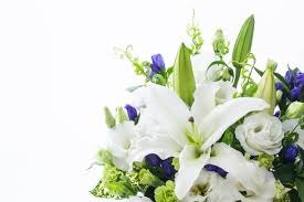 Dr. Wesley Cowan, Accident Death: Cosmetic, Family Dentistry, Dentist in Greater Northdale, Florida Has Died